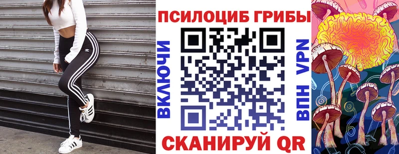 Псилоцибиновые грибы Psilocybine cubensis  Афипский 